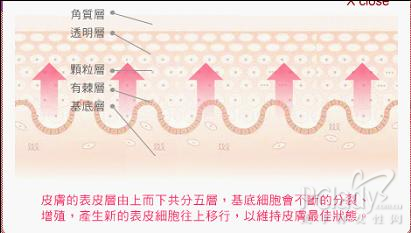 14天"完莓"蜕变 拥有白皙通透的好肌肤