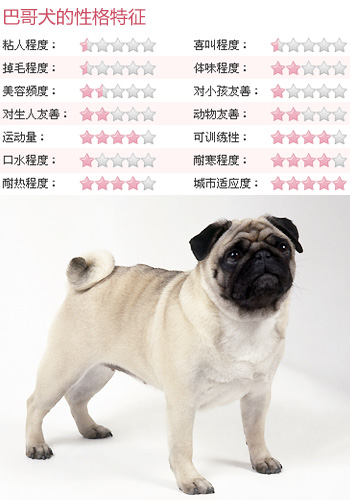 宠物 选宠中心 狗狗选购 > 正文    但是萨摩属于大中型犬,而且幼年时
