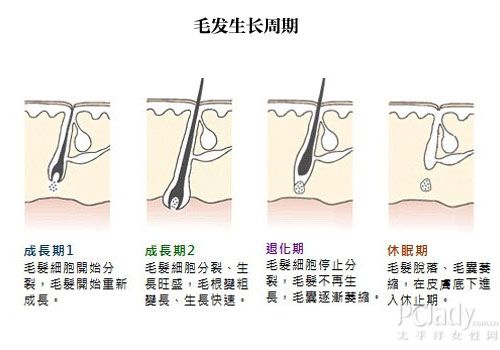 对话余文杰:激光脱毛面面看【图】_医美专题 _科技_美容 _太平洋时尚网