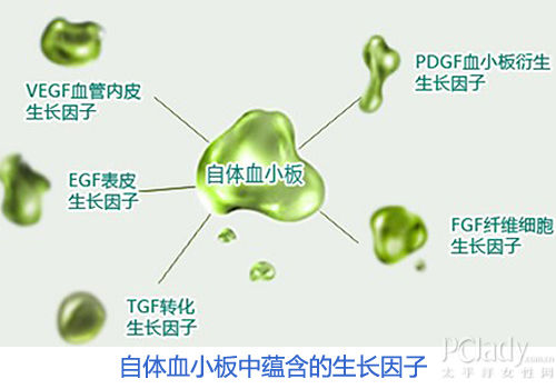 自体组织再利用 3种"宝贝"走红