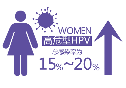HPV伤身致癌 北大招处女血做研究【图】_保健
