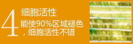 舒缓镇定温和水嫩 花瑶花金银花舒缓润妍爽肤水评测