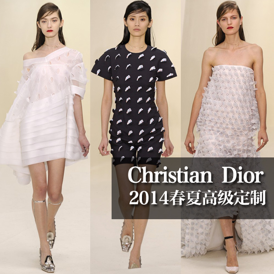 Christian Dior 2014ĸ߼