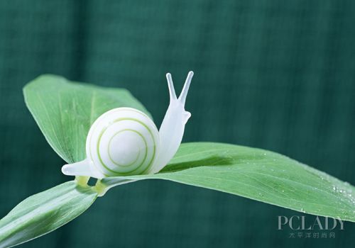 蜗牛护肤法
