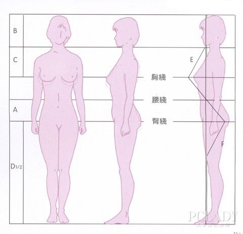 【吸脂减肥】吸脂减肥的危害,吸脂减肥怎么样_太平洋女性网专区