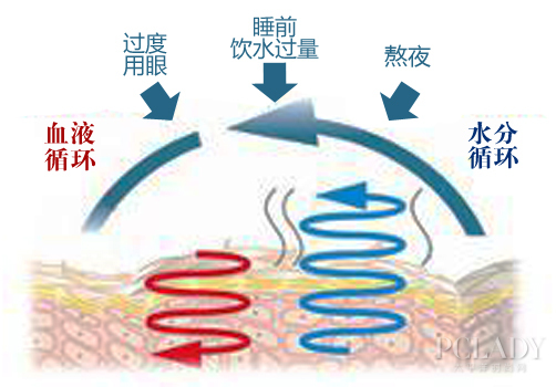 拒绝眼周透露年龄 黑眼圈疏通有心机