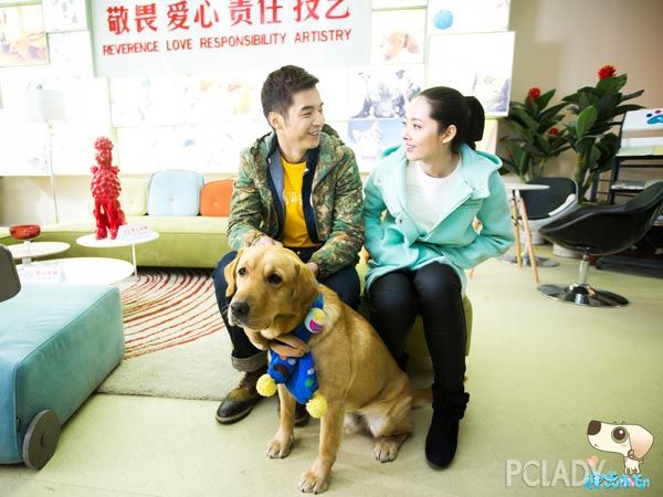 > 神犬  [内地明星] 神犬小七不止吸引地球人狂圈粉"神犬"系列电视剧
