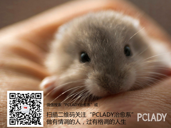 饲养仓鼠吃的面包虫未婚蟒蛇梦到三条大胳膊缠着左女性图片