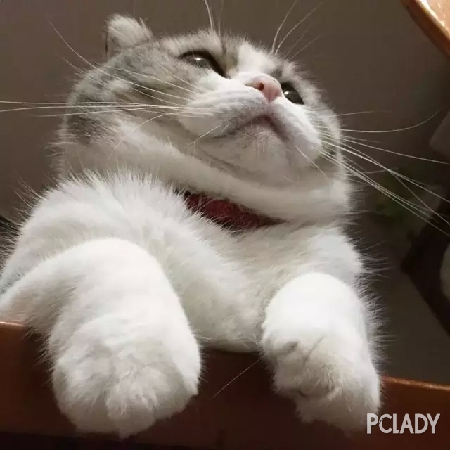 因为有双下巴.