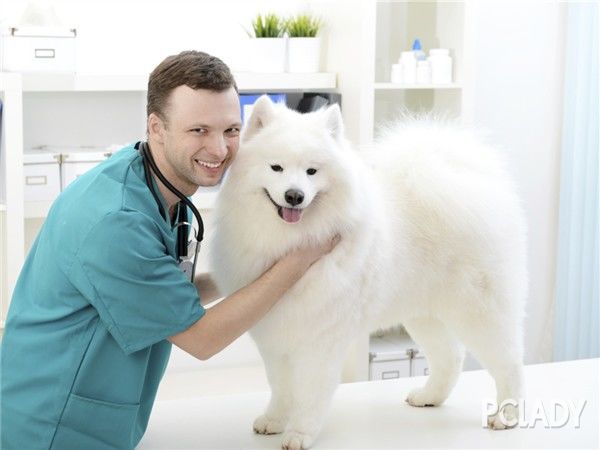 լլŮ