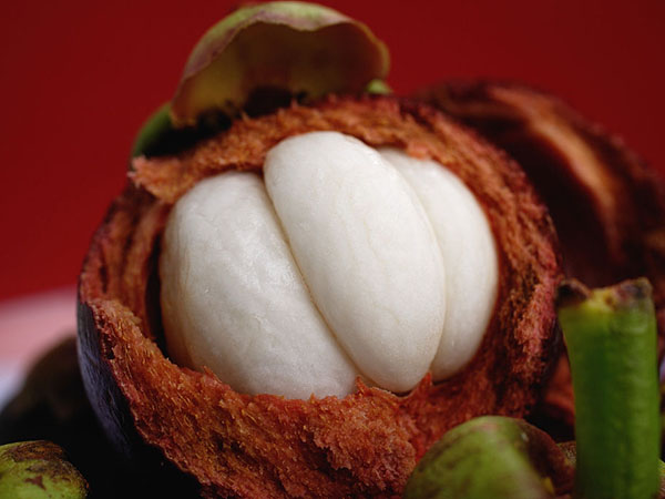 山竹怎么挑 怎样挑选山竹?