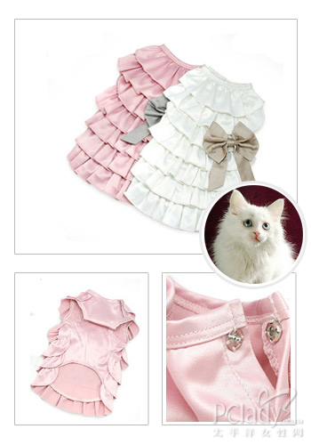 亮丽一夏！宠物猫猫四款可爱粉色衣服介绍