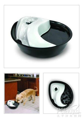 猫咪最爱喝活水！5款时尚猫猫自动饮水机