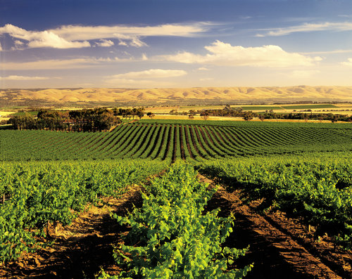 泰国旅游景点图片全部 918875_tai16.jpg