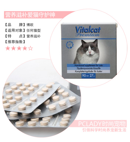 初春能量补充 5款猫咪保健品推荐