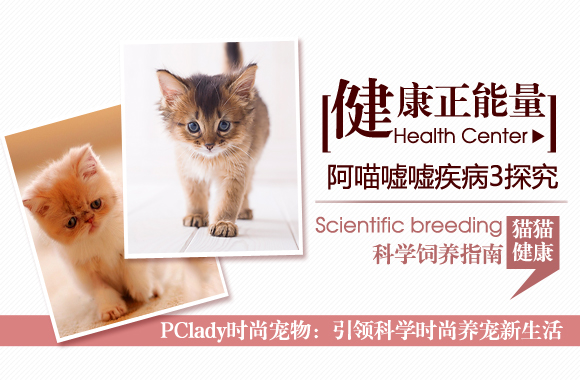 健康正能量 猫猫嘘嘘疾病全探究