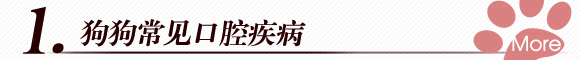 清新好口气 宠物狗口腔护理4策略