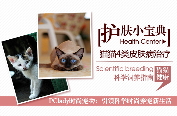 护肤小宝典 四类猫猫皮肤疾病全解读