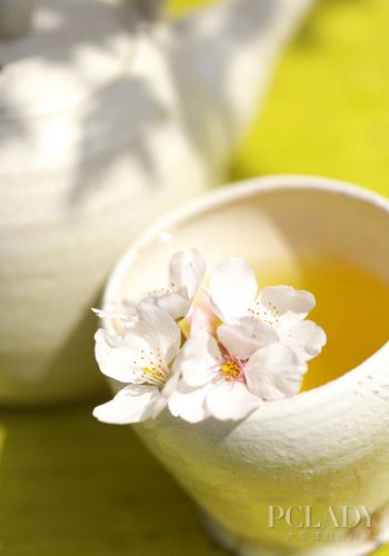 喝中药吃什么饭 1054784_9_8_AFR-1067-03598.jpg