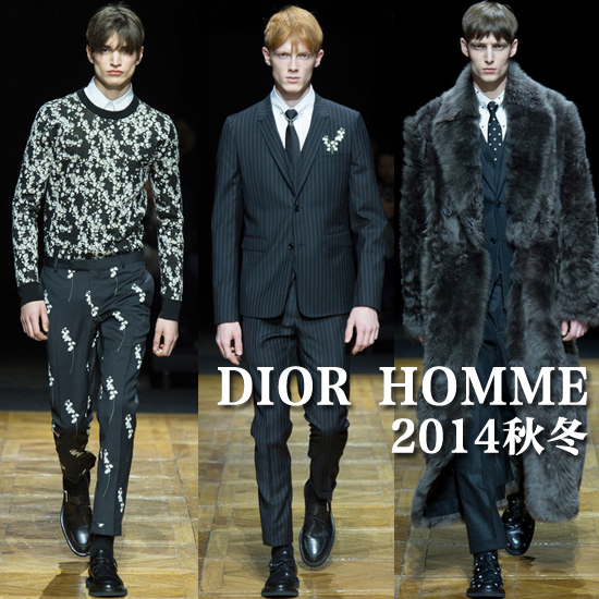 Dior Homme 2014ﶬװϵз