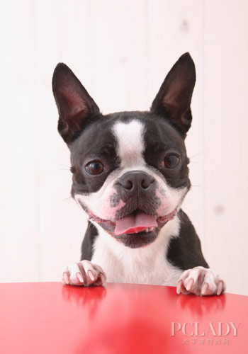 法国人是什么梗 1167668_560867431.jpg