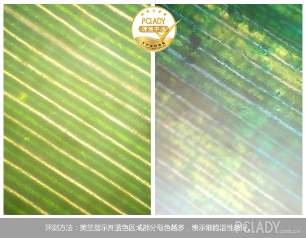 塑造立体心形脸 雅诗兰黛多维充盈紧塑精华