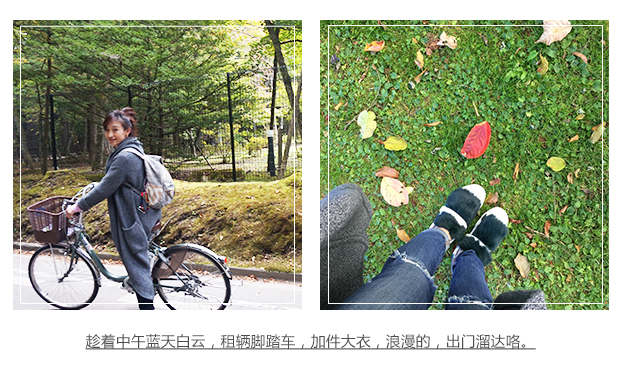 又到日本红叶季 秋游最佳拍照臭美地