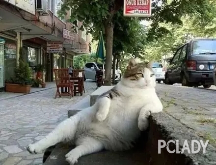 为纪念世上最惬意的猫过世，网友给它做了个雕像