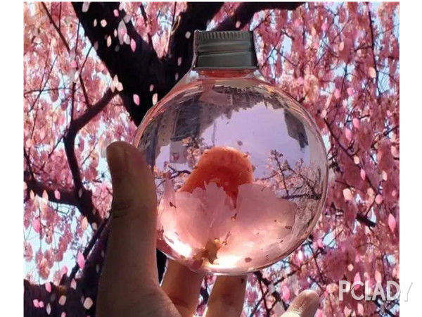 2019早樱正盛时丨这些樱花季高颜值限定，唤醒沉睡的少女心